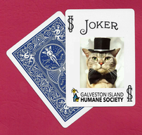 Joker Card 1 202//192